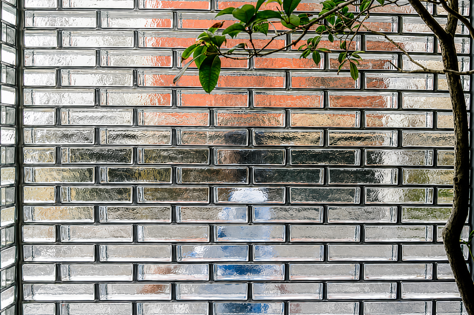 Galería 6